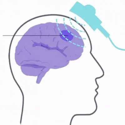 tms web site 400x400 1